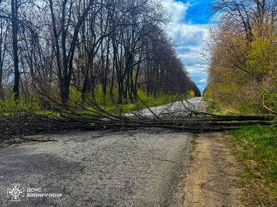 На Вінниччині через сильні пориви вітру падали дерева