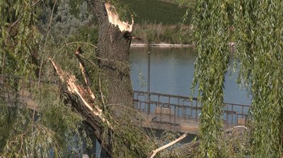 "Все, що залишилося від веранди": жителі села на Черкащині усувають наслідки негоди "Все, що залишилося від веранди": жителі села на Черкащині усувають наслідки негоди