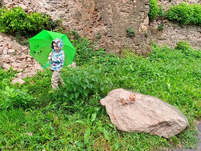 Фортечний мур Кармелітського монастиря в Бердичеві — під загрозою руйнування Фортечний мур Кармелітського монастиря в Бердичеві — під загрозою руйнування