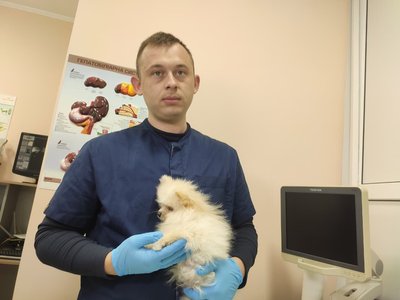 Максим Лучка, ветклініка, кліщі, 24 квітня 2026, Тернопіль Максим Лучка, ветклініка, кліщі, 24 квітня 2026, Тернопіль