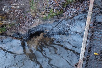 Забруднення Південного Бугу мазутом — що відомо про інцидент на Ладижинській ТЕС Забруднення Південного Бугу мазутом — що відомо про інцидент на Ладижинській ТЕС