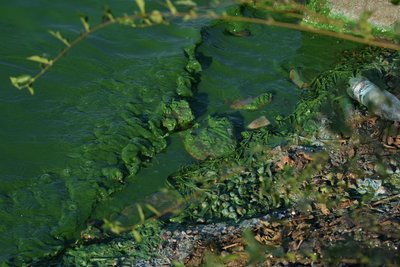 Дніпро