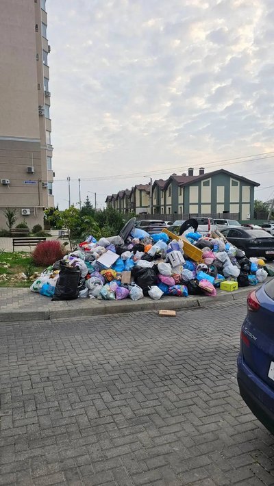 Щури та сміття у дворах: у Севастополі кілька днів не працюють сміттєвози Щури та сміття у дворах: у Севастополі кілька днів не працюють сміттєвози