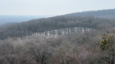 Контроль за популяцією хижаків та захист від сказу: як на Полтавщині регулюють чисельність лисиць Контроль за популяцією хижаків та захист від сказу: як на Полтавщині регулюють чисельність лисиць