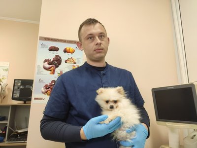 Максим Лучка, кліщі, собаки, 24 квітня 2026, Тернопіль Максим Лучка, кліщі, собаки, 24 квітня 2026, Тернопіль