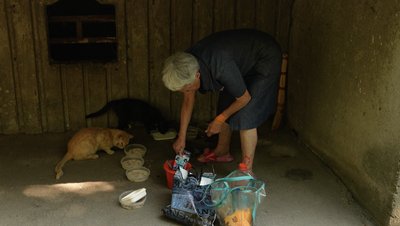 Не забувайте про тварин: як одна миска з водою стає мірилом людяності Не забувайте про тварин: як одна миска з водою стає мірилом людяності