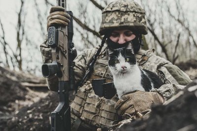 Фото, день піхоти, Василь Веселовський, 41 ОМБр, Тернопільщина Фото, день піхоти, Василь Веселовський, 41 ОМБр, Тернопільщина