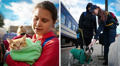 У Мукачево прибув евакуаційний потяг з Донеччини У Мукачево прибув евакуаційний потяг з Донеччини