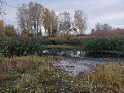 Зменшення води у Кременчуцькому водосховищі на Полтавщині: у чому причина Зменшення води у Кременчуцькому водосховищі на Полтавщині: у чому причина