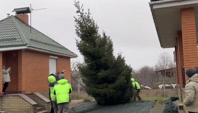 12 років росла на приватному подвірʼї: на Черкащині підприємець подарував місту різдвяне дерево 12 років росла на приватному подвірʼї: на Черкащині підприємець подарував місту різдвяне дерево