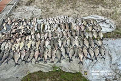 Атака на Нікопольщину, погода. Головні новини Дніпра та області 10 травня Атака на Нікопольщину, погода. Головні новини Дніпра та області 10 травня