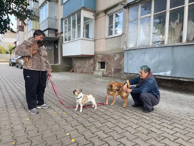 Спротив окупації та порятунок тварин: історія переселенки з Херсону Спротив окупації та порятунок тварин: історія переселенки з Херсону