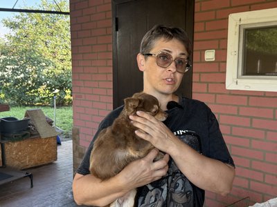 “Для собак, для дітей і для бабусі — усе”: родина з десятьма собаками евакуюється зі Слов’янська “Для собак, для дітей і для бабусі — усе”: родина з десятьма собаками евакуюється зі Слов’янська