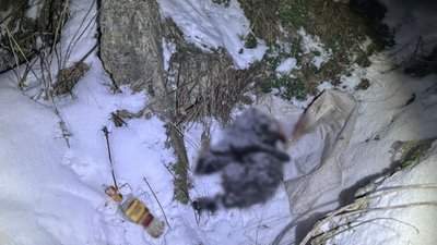 На Черкащині чоловіку повідомили про підозру у жорстокому поводженні з тваринами На Черкащині чоловіку повідомили про підозру у жорстокому поводженні з тваринами