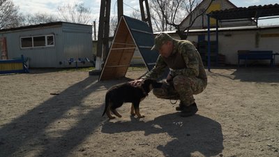 Сем, Лео, Тайфун та Хвоя: у Запоріжжі в кінологічному центрі поліції з’явилися нові чотирилапі помічники Сем, Лео, Тайфун та Хвоя: у Запоріжжі в кінологічному центрі поліції з’явилися нові чотирилапі помічники