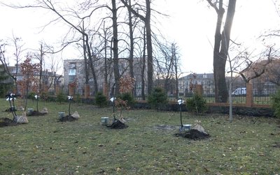 "Символізують стійкість українських воїнів": біля черкаського собору висадили дуби "Символізують стійкість українських воїнів": біля черкаського собору висадили дуби