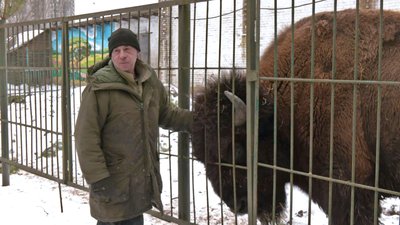 Зима в Луцькому зоопарку: як живуть тварини у відкритих і "теплих" вольєрах Зима в Луцькому зоопарку: як живуть тварини у відкритих і "теплих" вольєрах