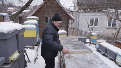 "Головне — врятувати від голоду": як вінницький пасічник допомагає бджолам перезимувати "Головне — врятувати від голоду": як вінницький пасічник допомагає бджолам перезимувати