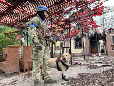 На Донеччині службові собаки допомогли знайти більше тисячі вибухових пристроїв На Донеччині службові собаки допомогли знайти більше тисячі вибухових пристроїв