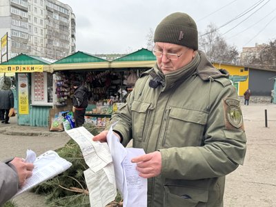"Є документи на дерева?". Як у Сумах працює ялинковий базар
