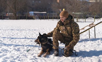 Пес-іноземець в строю: як вівчарка Ф’йоль із Франції готується до служби у Нацгвардії на Черкащині Пес-іноземець в строю: як вівчарка Ф’йоль із Франції готується до служби у Нацгвардії на Черкащині