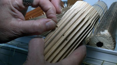 З борщівника — музичні інструменти: п'ять різновидів дощовиць виготовляє ветеринарка з Луцька З борщівника — музичні інструменти: п'ять різновидів дощовиць виготовляє ветеринарка з Луцька