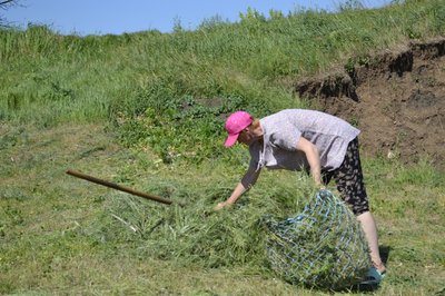 "В нас тут як на ноєвому ковчегу": на Миколаївщині діє притулок для коней "В нас тут як на ноєвому ковчегу": на Миколаївщині діє притулок для коней