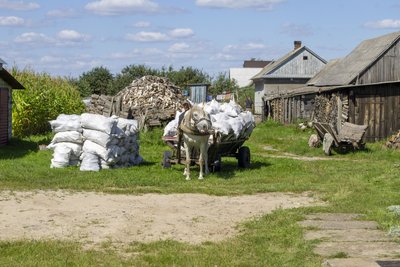 Крайня точка громади: як живуть і чим заробляють в селі Черемошне на Волині