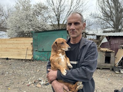 Снаряди розривались поряд, один влучив у вольєр. Як під обстрілами у Херсоні виживає притулок для тварин Снаряди розривались поряд, один влучив у вольєр. Як під обстрілами у Херсоні виживає притулок для тварин