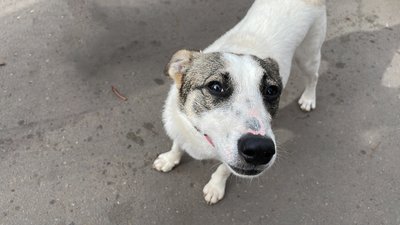 Як минув перший тиждень жовтня на Миколаївщині: добірка фотографій Як минув перший тиждень жовтня на Миколаївщині: добірка фотографій