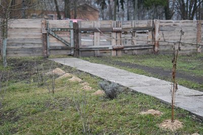 "Надіятися треба тільки на себе". Як живе на Сумщині жінка, яка вийшла з окупованого Маріуполя "Надіятися треба тільки на себе". Як живе на Сумщині жінка, яка вийшла з окупованого Маріуполя