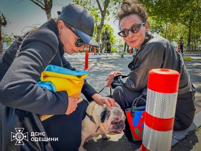 В Одесі попрощались з собакою Кєтті, яка загинула внаслідок ракетного удару