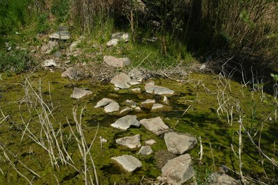 Каховське водосховище – пастка для військових РФ: як Сили оборони зривають штурми на Оріхівському напрямку Каховське водосховище – пастка для військових РФ: як Сили оборони зривають штурми на Оріхівському напрямку