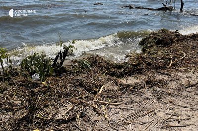 “Сьогодні-завтра до нас почне надходити максимально забруднена вода”: еколог з Одеси про наслідки підриву Каховської ГЕС “Сьогодні-завтра до нас почне надходити максимально забруднена вода”: еколог з Одеси про наслідки підриву Каховської ГЕС