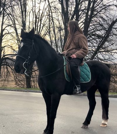 Двісті фігурок у колекції: одинадцятикласниця з Малина на Житомирщині захоплюється кіньми Двісті фігурок у колекції: одинадцятикласниця з Малина на Житомирщині захоплюється кіньми