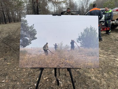 Відновлення після пожежі: на Полтавщині лісівники висаджують нові ліси
