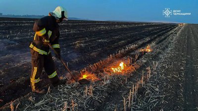 На Черкащині за добу сталося вигоріло 12 гектарів сухостою