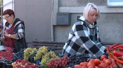 «З роками зростатиме в ціні»: скільки коштує виноград у Черкасах «З роками зростатиме в ціні»: скільки коштує виноград у Черкасах