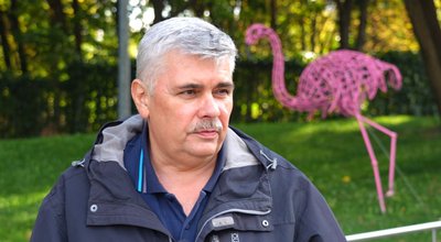 Горобець став птахом року через скорочення популяції. Що розповідає орнітолог з Дніпра Горобець став птахом року через скорочення популяції. Що розповідає орнітолог з Дніпра