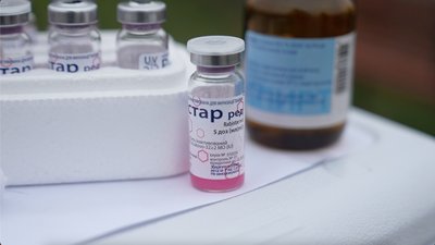 Вакцинують тварин: у громадах на Черкащині роблять безоплатні щеплення проти сказу котам та собакам Вакцинують тварин: у громадах на Черкащині роблять безоплатні щеплення проти сказу котам та собакам