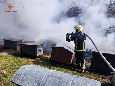 В пожежі на Черкащині постраждала пасіка В пожежі на Черкащині постраждала пасіка