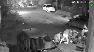 Скріншот з камери відеоспостереження, коли намагались надати допомогу собаці у Чернівцях Скріншот з камери відеоспостереження, коли намагались надати допомогу собаці у Чернівцях