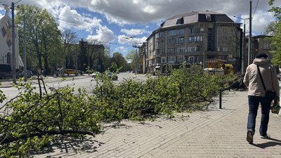Вітер, негода, буревій, Франківськ, вулиця Лепкого, вулиця Мулика, дерево Вітер, негода, буревій, Франківськ, вулиця Лепкого, вулиця Мулика, дерево