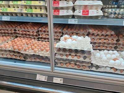 "Прямо золоті": скільки коштують яйця в Черкасах і що кажуть про ціни покупці "Прямо золоті": скільки коштують яйця в Черкасах і що кажуть про ціни покупці