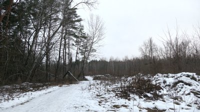 У департаменті культури і туризму ОДА прокоментували рішення суду щодо земель біля Ялівщини у Чернігові У департаменті культури і туризму ОДА прокоментували рішення суду щодо земель біля Ялівщини у Чернігові