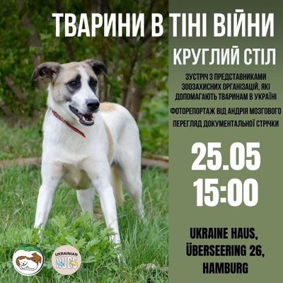 "Хочу заповнити простір українським". Сум'янка у Німеччині розбудовує громаду та допомагає ЗСУ
