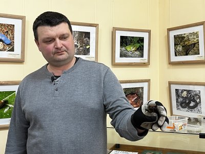 Назар Смірнов Назар Смірнов