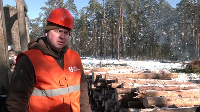 Як заготовляють дрова на Рівненщині Як заготовляють дрова на Рівненщині