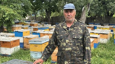 "Бджоли б’ються в конвульсіях": у двох селах Кіровоградщини загинули 32 мільйони бджіл "Бджоли б’ються в конвульсіях": у двох селах Кіровоградщини загинули 32 мільйони бджіл