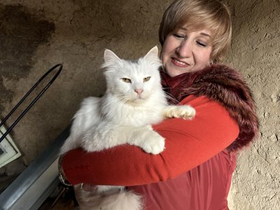 "Покинути їх я вже не могла": переселенка з Покровська вивезла на Дніпропетровщину 23 котів "Покинути їх я вже не могла": переселенка з Покровська вивезла на Дніпропетровщину 23 котів